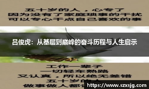 芒果体育